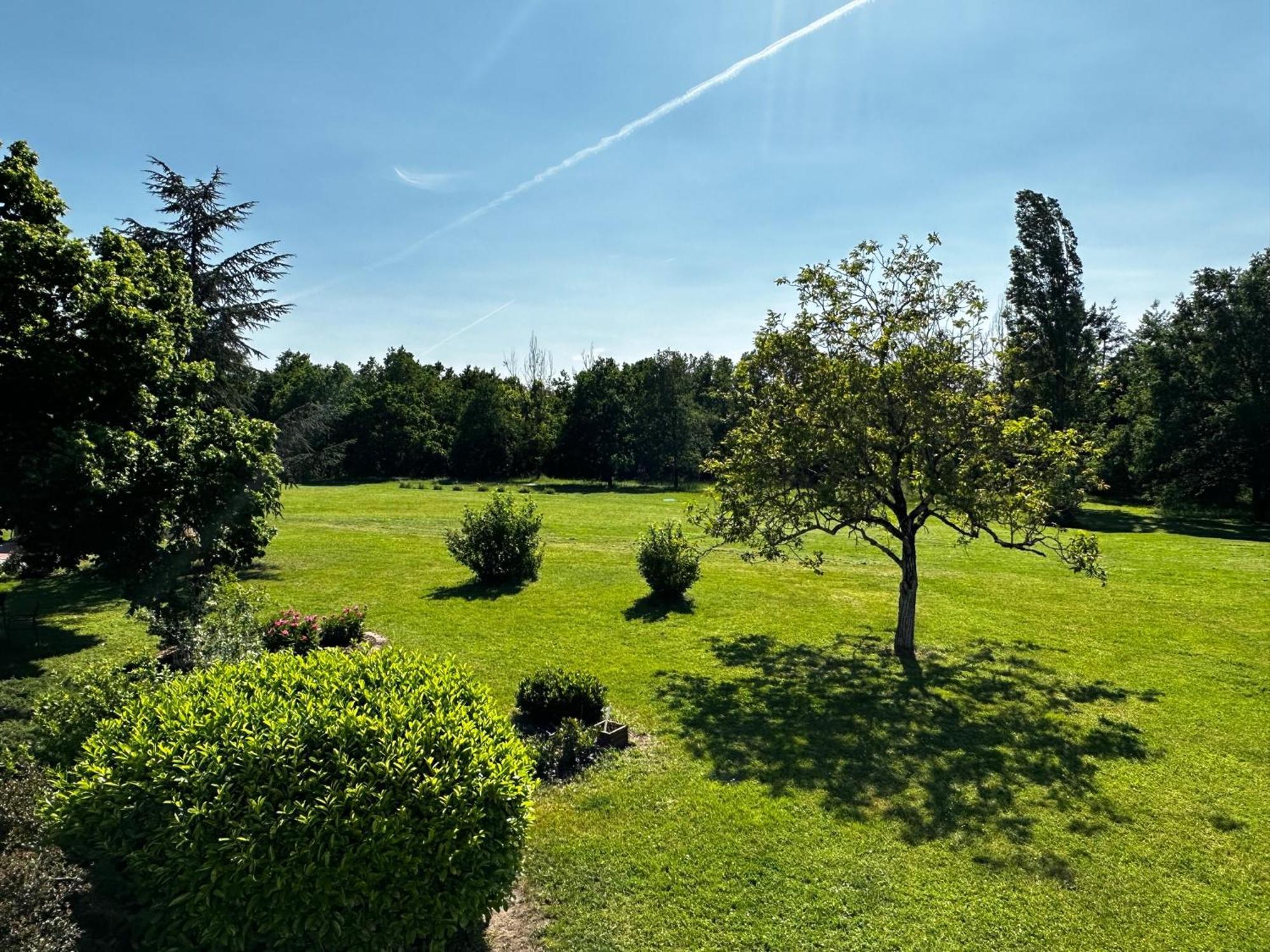 Domaine De Couilleuse Hotel Saint-Laurent-Nouan Exterior photo